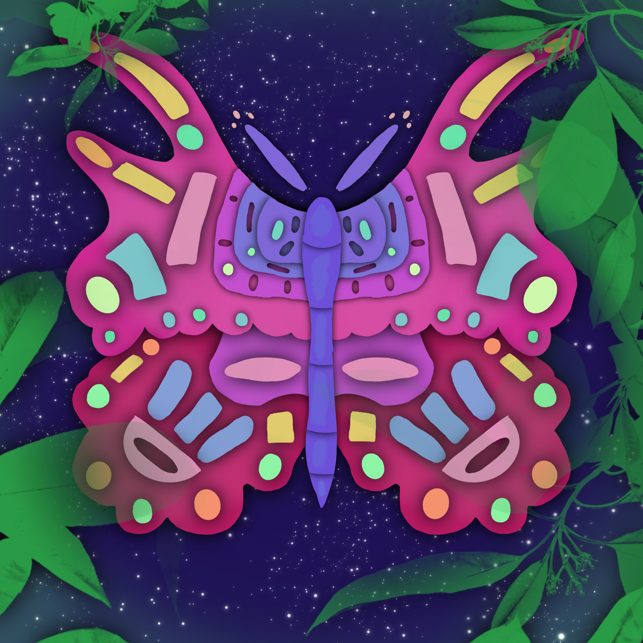 Butterfly with stars